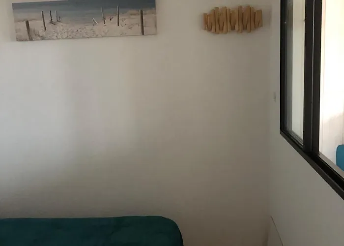 Lejlighed Joli T2 Vue Lac, Entierement Renove